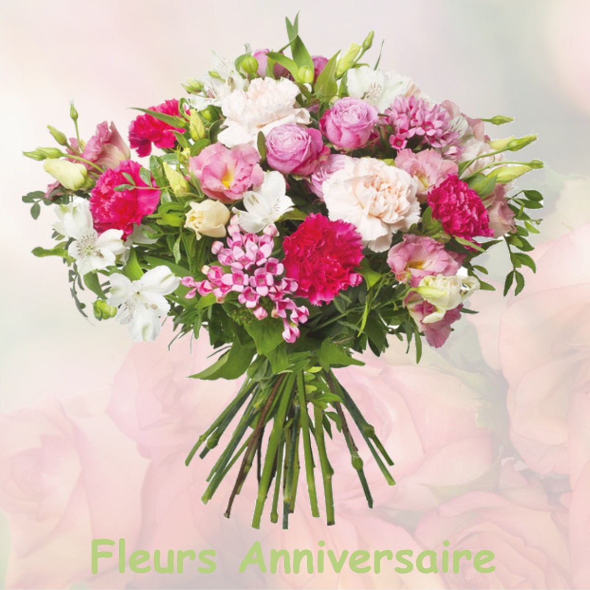 fleurs anniversaire MONTGAILLARD-DE-SALIES