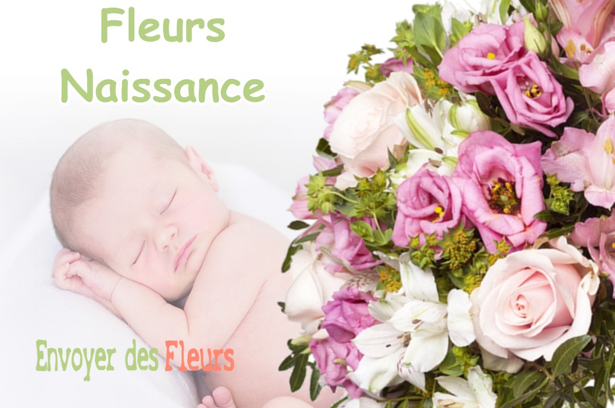 lIVRAISON FLEURS NAISSANCE à MONTGAILLARD-DE-SALIES